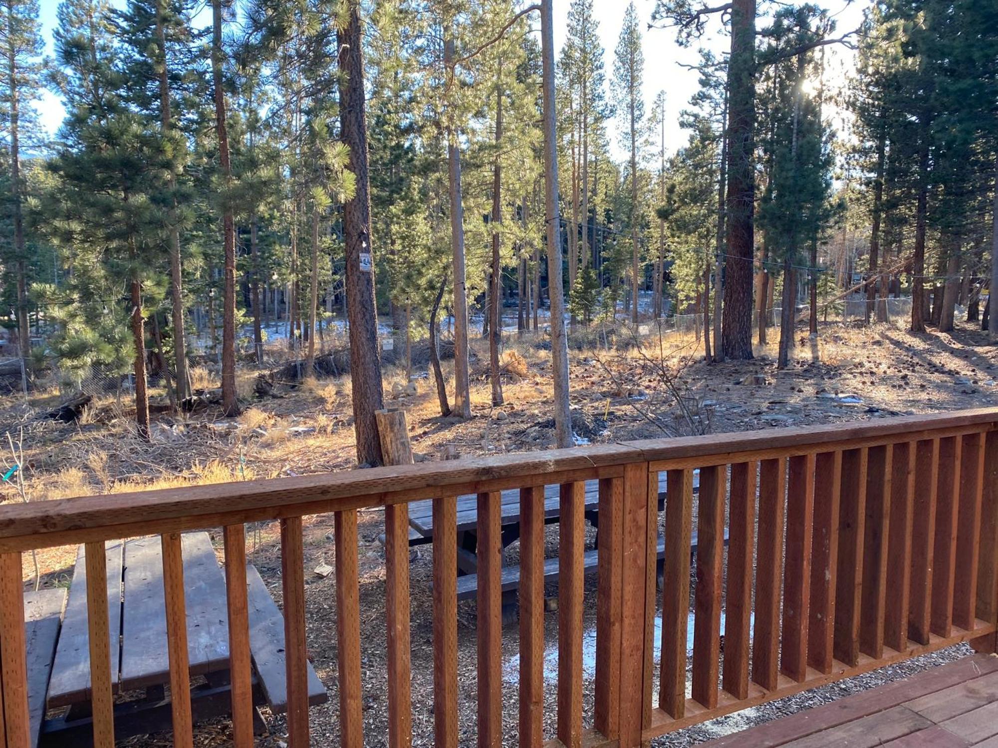 Cinnamon Bear Inn Mammoth Lakes Exterior foto